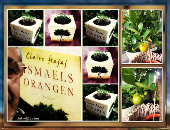 Ismaels Orangen von Claire Hajaj 